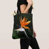 Der Vogel der tropischen Blume Orange Tasche (Von Nahem)