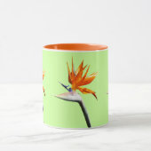 Der Vogel der tropischen Blume Orange Tasse (Zentrum)
