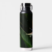 Der Vogel der tropischen Blume Orange Trinkflasche (Vorne)