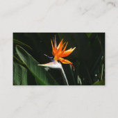 Der Vogel der tropischen Blume Orange Visitenkarte (Rückseite)