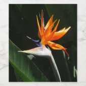 Der Vogel der tropischen Blume Orange Weinetikett (Einzelnes Label)