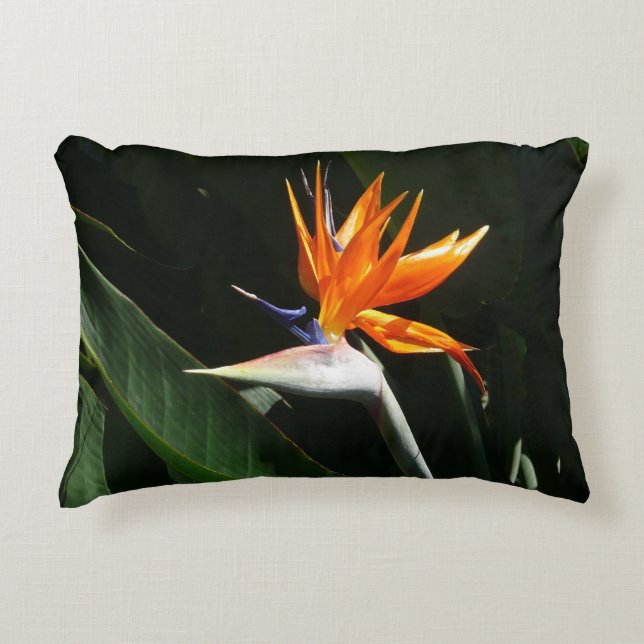 Der Vogel der tropischen Blume Orange Zierkissen (Vorderseite)