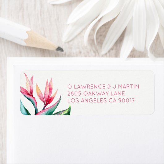 Der Vogel der tropischen Wasserfarbe (Insitu)