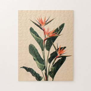 Der Vogel des Paradieses Botanische Kunst Puzzle