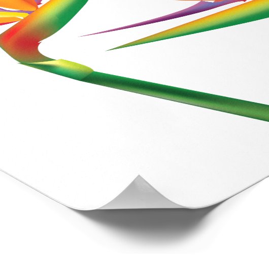 Der Vogel des Paradieses Florale Mauer Kunstdrucke Poster (Ecke)