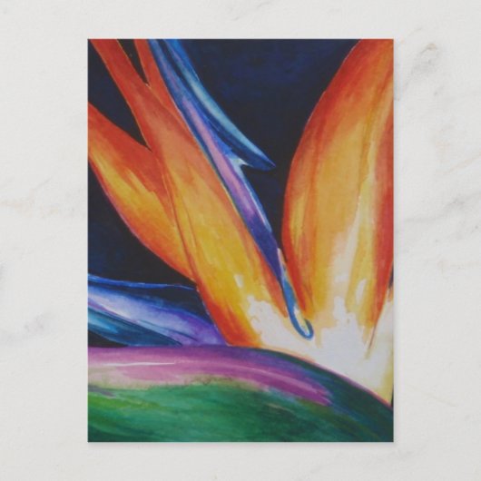 Der Vogel des Paradieses Postkarte (Vorderseite)