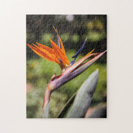 Der Vogel des Paradieses Puzzle