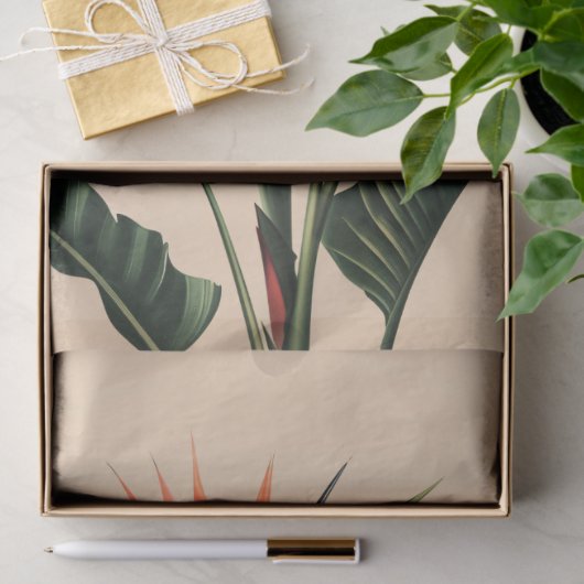 Der Vogel des Paradieses Seidenpapier (Geschenk)