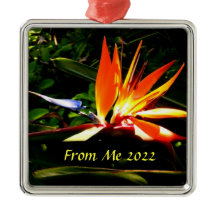 Der Vogel des Paradieses Weihnachtsfeiertag