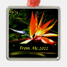 Der Vogel des Paradieses Weihnachtsfeiertag Ornament Aus Metall