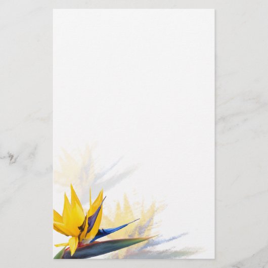 Der Vogel des Paradise Blank Writer Paper Briefpapier (Vorderseite)