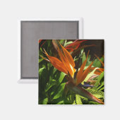 Der Vogel des Paradise Magnet (Vorderseite/Rückseite)