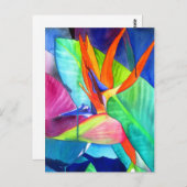 Der Vogel des Paradise Strelitzia Blume Tropische  Postkarte (Vorne/Hinten)