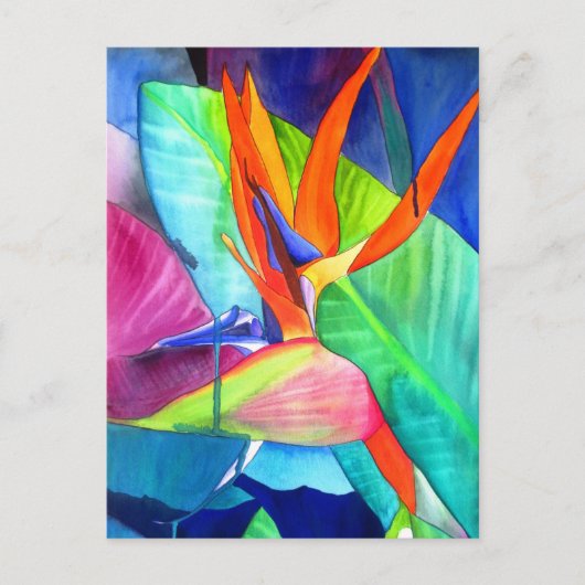 Der Vogel des Paradise Strelitzia Blume Tropische Postkarte (Vorderseite)