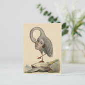 Der Vogel des Selbstwissens Einzigartige Symbolpos Postkarte (Stehend Vorderseite)