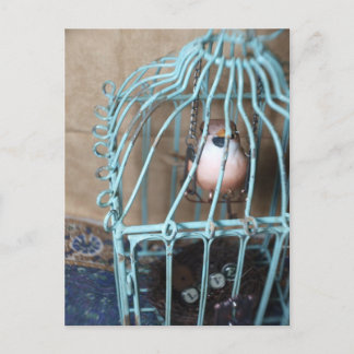 Der Vogel hält den Schlüssel Postkarte