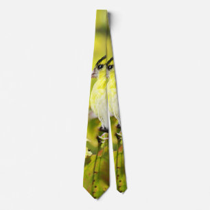 Der Vogel im Gelben Krawatte