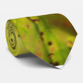 Der Vogel im Gelben Krawatte (Gerollt)