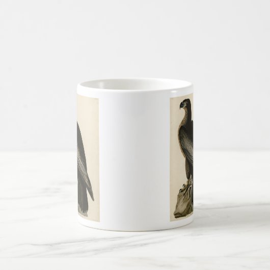 Der Vogel von Washington aus Audubons Vögeln Ameri Kaffeetasse (Mittel)