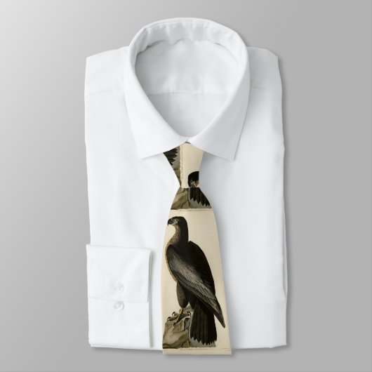 Der Vogel von Washington aus Audubons Vögeln Ameri Krawatte (Gebunden)