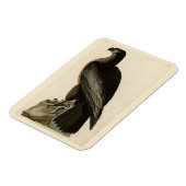 Der Vogel von Washington aus Audubons Vögeln Ameri Magnet (Linke Seite)