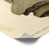 Der Vogel von Washington aus Audubons Vögeln Ameri Poster (Ecke)