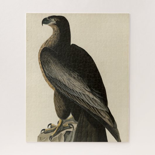 Der Vogel von Washington aus Audubons Vögeln Ameri Puzzle (Vertikal)