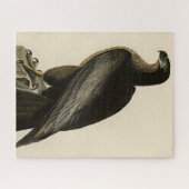 Der Vogel von Washington aus Audubons Vögeln Ameri Puzzle (Horizontal)