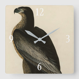Der Vogel von Washington aus Audubons Vögeln Ameri Quadratische Wanduhr