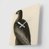 Der Vogel von Washington aus Audubons Vögeln Ameri Quadratische Wanduhr (Winkel)