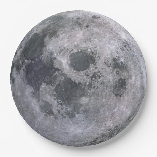 Der Vollmond-WegwerfpapierTeller Pappteller (Vorderseite)