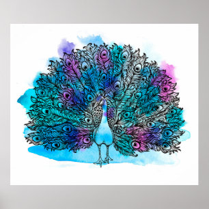 Der von Hand gezogene Pfauenvogel besteht aus viel Poster