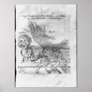 Der von Johannes entdeckte und beobachtete Komet Poster