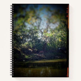 Der Vorsitz des Pond-Uni-Reglers Notizblock