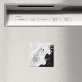 Der Vulkan Shiveluch in Kamtschatka Krai, Russland Magnet (In Situ (Geschirrspüler))