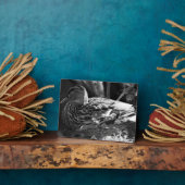 Der Wachmann Fotoplatte (Seite)