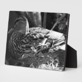 Der Wachmann Fotoplatte (Seite)