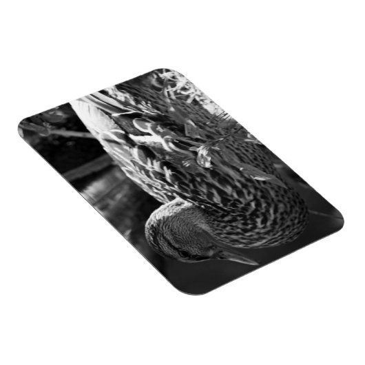 Der Wachmann Magnet (Rechte Seite)