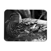 Der Wachmann Magnet (Horizontal)