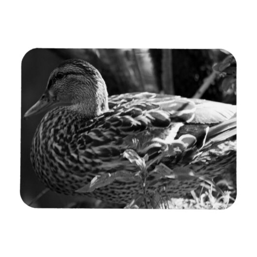 Der Wachmann Magnet (Horizontal)