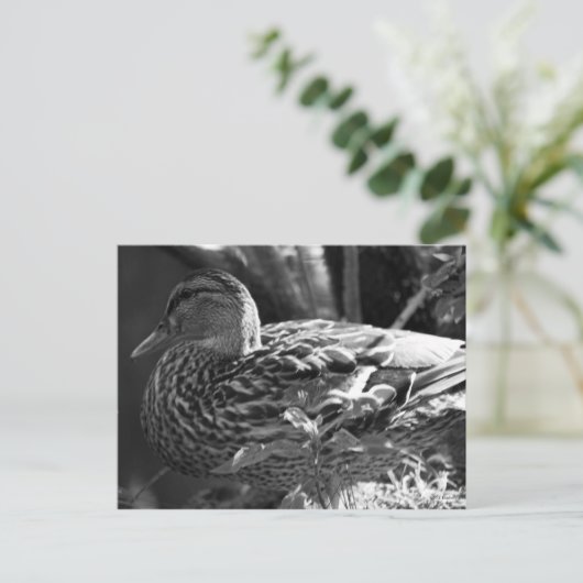 Der Wachmann Postkarte (Stehend Vorderseite)