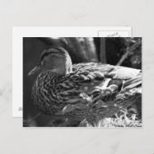 Der Wachmann Postkarte (Vorne/Hinten)