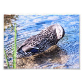 Der wachsende Effekt Fotodruck (Vorne)