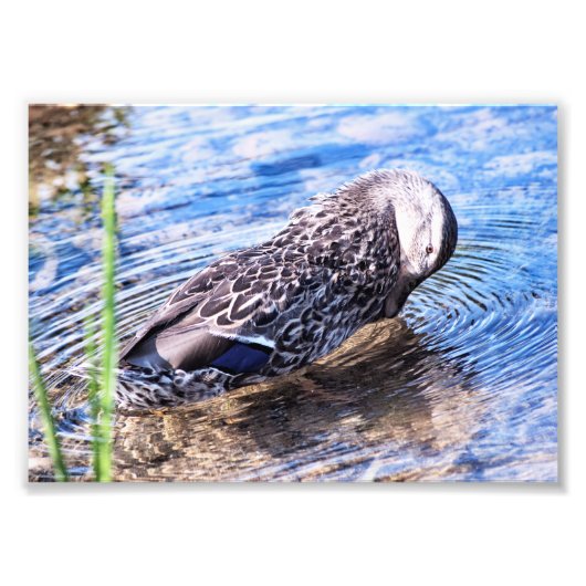 Der wachsende Effekt Fotodruck (Vorne)