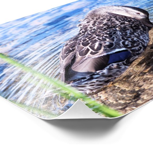 Der wachsende Effekt Fotodruck (Ecke)