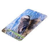 Der wachsende Effekt Magnet (Linke Seite)