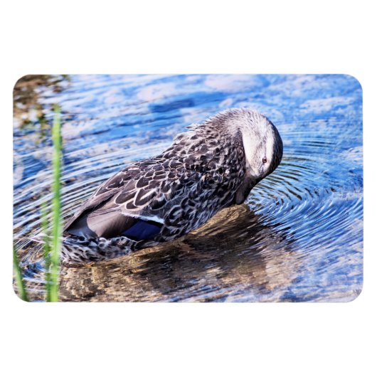 Der wachsende Effekt Magnet (Horizontal)