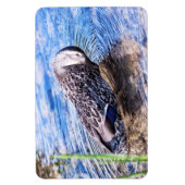 Der wachsende Effekt Magnet (Vertikal)