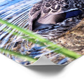 Der wachsende Effekt Poster (Ecke)