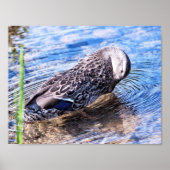 Der wachsende Effekt Poster (Vorne)